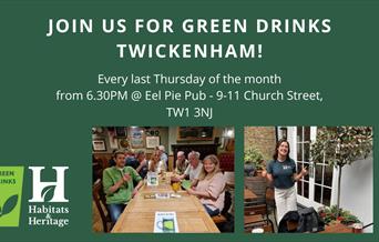 Green Drinks