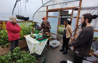 People inside a polytunnel