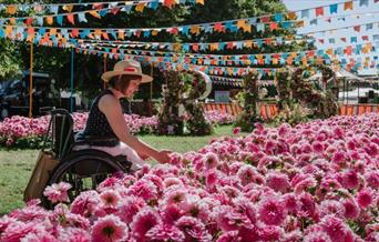 Hampton Court Flower show event pictures