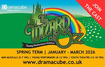 Wizard Of Oz Drama Cube Hampton Hill