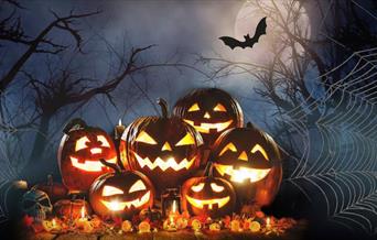 Halloween Pumpkins, Spooky, Bat, Cobweb