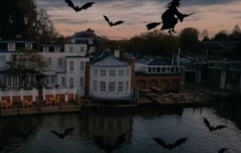 Halloween on the Terrace