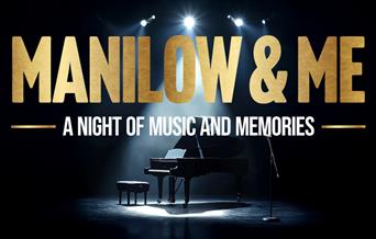 Piano in stage lighting. Manilow & Me performance