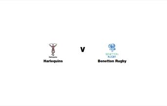 Harlequins v Benetton Rugby