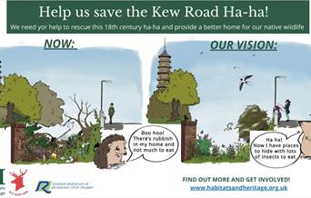 Poster of Kew Road ha-ha vision