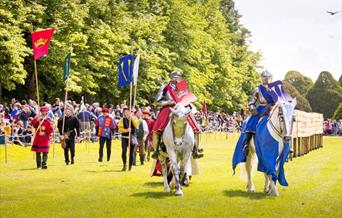 Henry VIII's Joust
