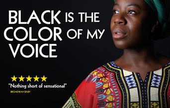 Black is The Color of My Voice