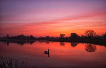 Home Park - Amazing shot