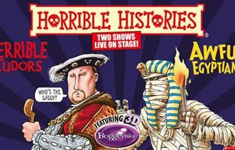 Horrible Histories - Awful Egyptians