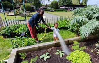 Woman and child watering a bed of plants