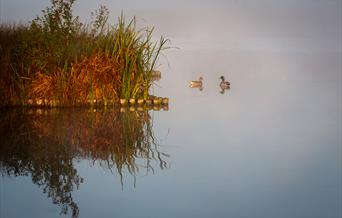 Jackie-Rado - Wildlife Photography