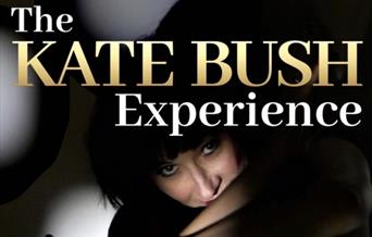 Kate Bush Experience