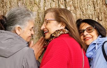 People listening to and feeling a tree.