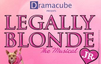 Legally Blonde JR