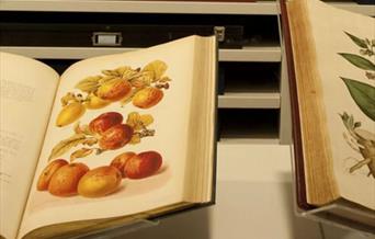 Library and Archives