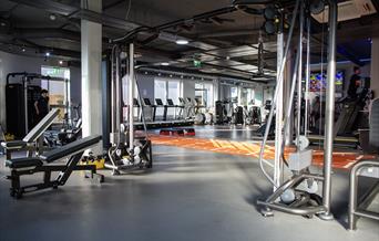 Majestic Fitness Gym Inside Equipment