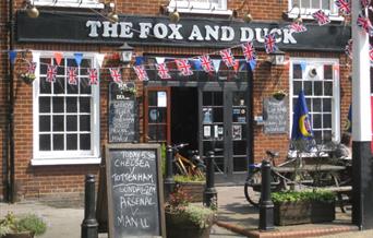 The Fox and Duck