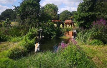 Flood Meadows at Hampton Court