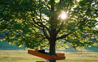 Step into the boat-like hammocks suspended in trees and lie down.
