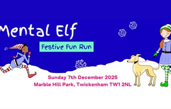 Mental Elf Fun Run
