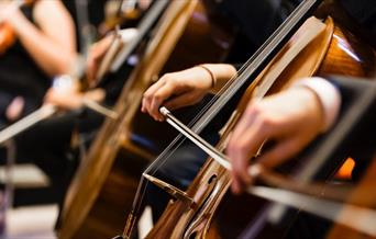 A close-up image of two hands playing violins using bows.