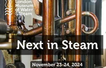 Next in Steam