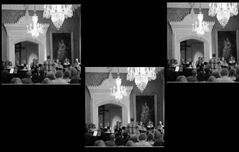 Notes from the Cabinet of Curiosities