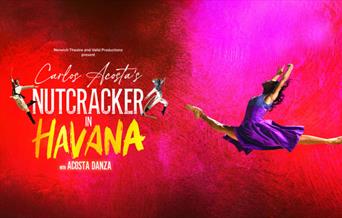 Nutcracker Havana