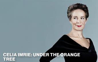 Celia Imrie - Under The Orange Tree