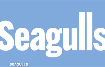 Seagulls