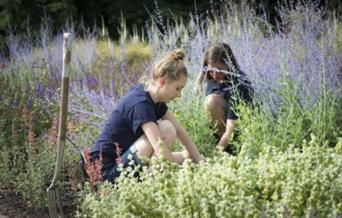 Organic Gardening