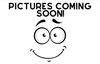 Picture Coming Soon