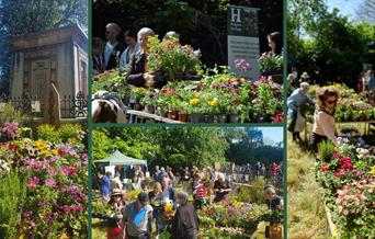 Plant Sale for Wildlife