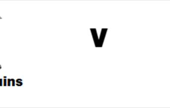 Premiership Rugby Cup Harlequins v Leicester