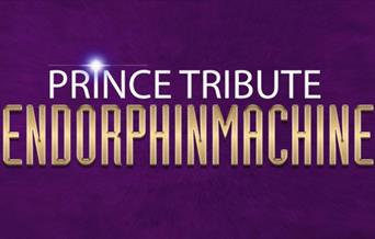 Prince Tribute Endorphinmachine
