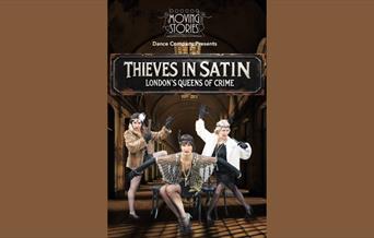 Thieves in Satin