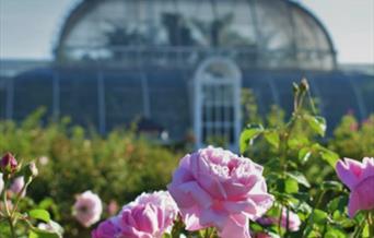 Flowers in bloom in from of the Kew Gardens Palm House