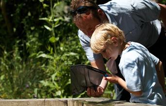 Pond dipping wwt