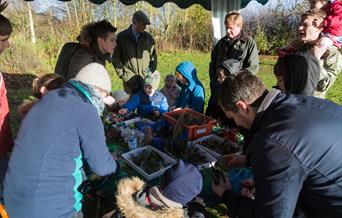Christmas family workshops at London Wetland Centre