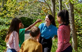 Wednesday Workshops - Summer WWT