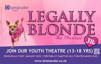 Dramacube Legally Blonde