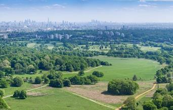 Aerial shot of Richmond Park