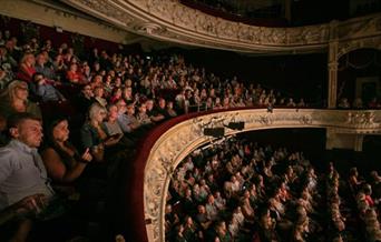 Guests enjoying performances