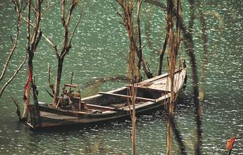 The River Sublime