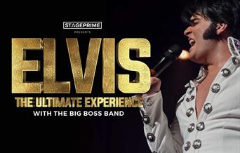 Elvis: The Ultimate Experience