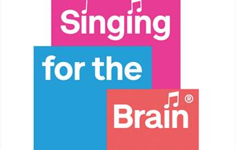 Singing for the Brain