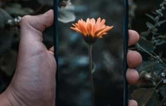 Smartphone Photography Advanced