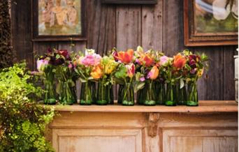 Spring Workshop