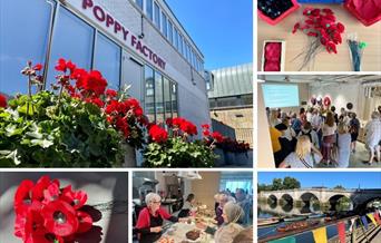 summer at the poppy factory