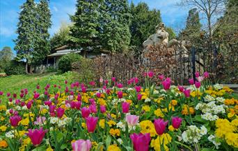 Terrace Gardens